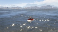 Seashark in GTA V