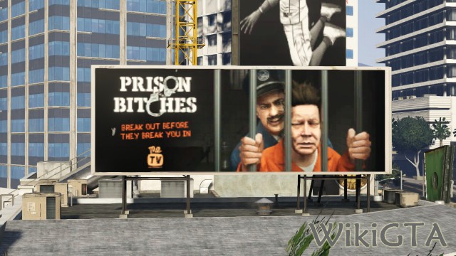 Prison Bitches