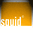 Squid Poster .png