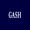 Gash logo.png
