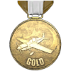 Flightschool gold.png